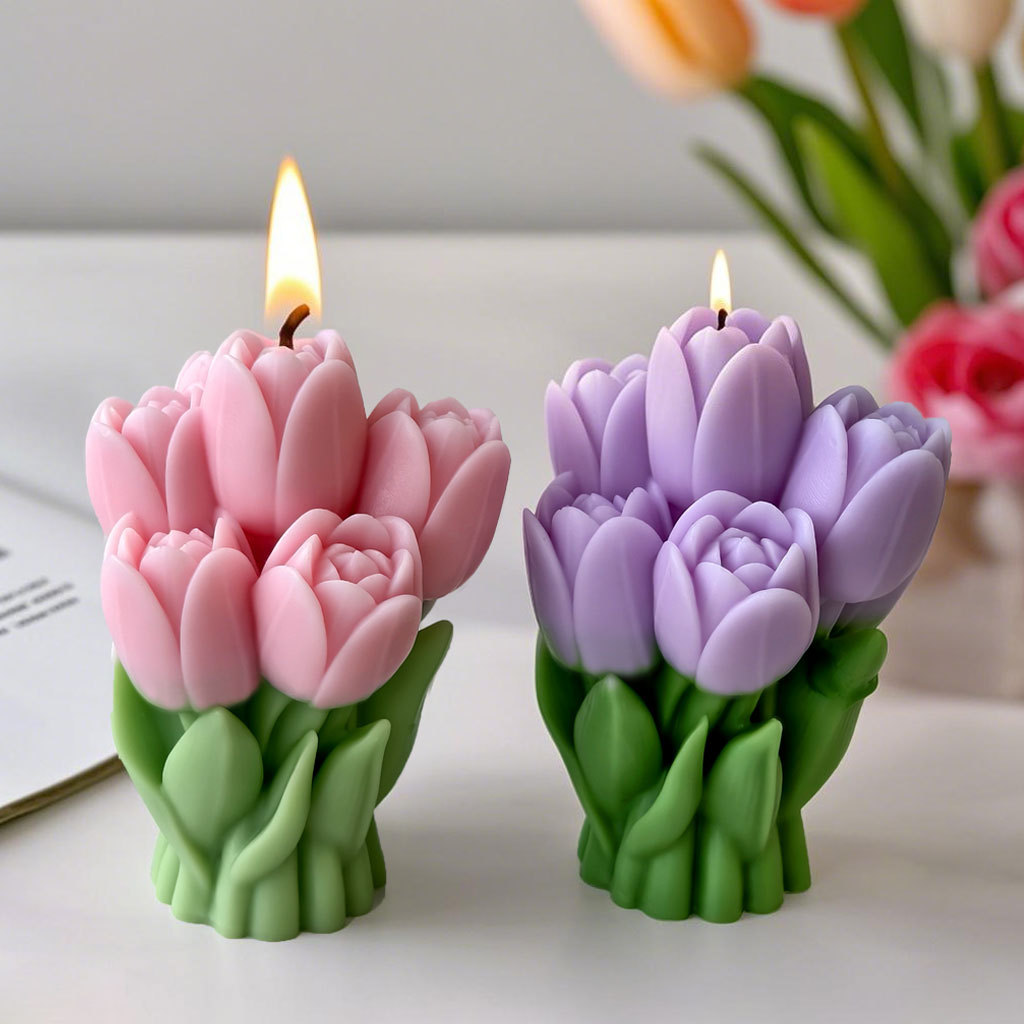 Valentinstag Geschenk Tulpe Bo – Candle Making Party Bewertung und Preis